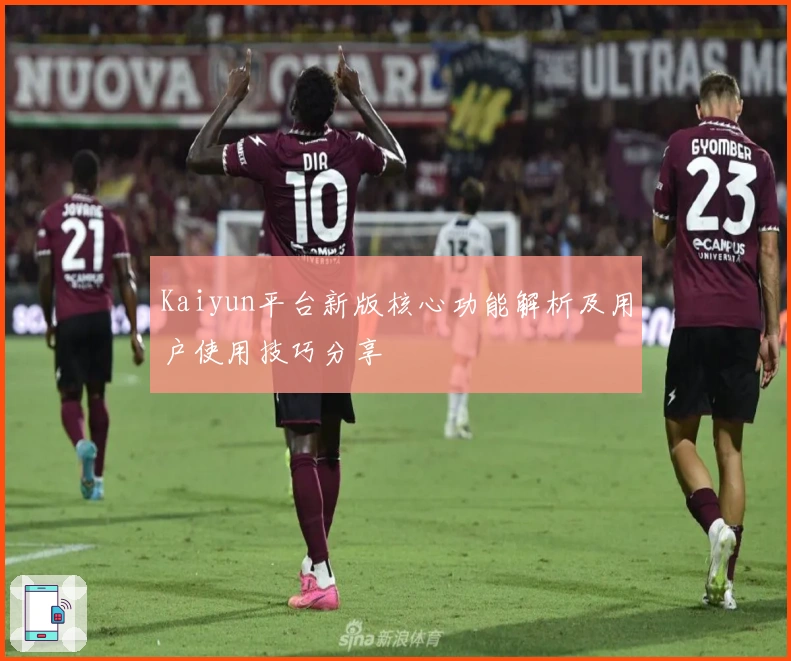 Kaiyun平台新版核心功能解析及用户使用技巧分享