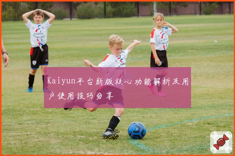 Kaiyun平台新版核心功能解析及用户使用技巧分享